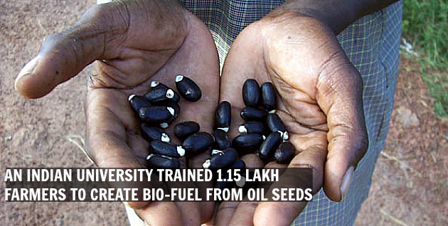 biofuel seeds